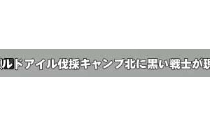 黒い騎士じゃなくて黒い戦士の間違いだったわ