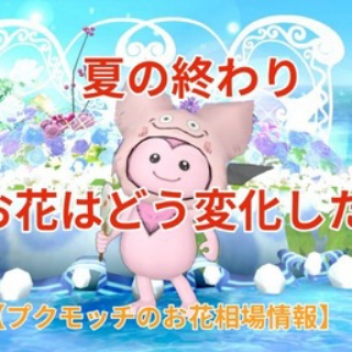 まみむめもっちのドラクエ☆１０日記