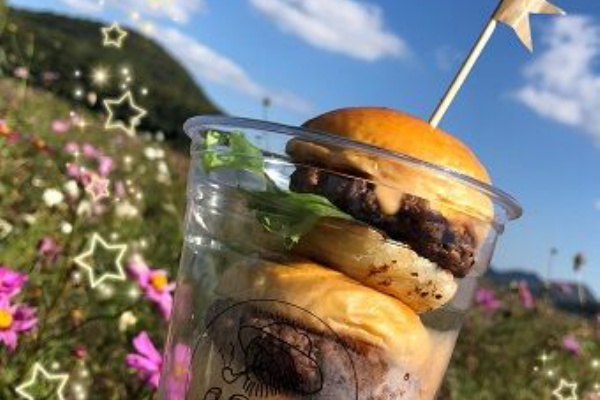 あっちこっち ここdeランチ 笠岡 井原