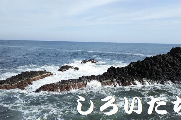 釣りする しろいたち 香住 地磯