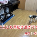 AM3時にお目覚めの日