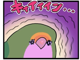 コザクラインコって絶対に紙を見つける超能力持ってる