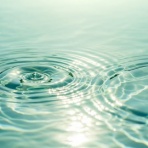 魂の成功ストーリーを歩む Diva