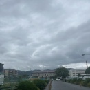 朝霧雨、のち晴れ♪
