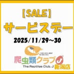爬虫類クラブJ新潟店