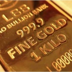 のとみいの日記