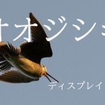 ふかふか亭「思考の領域」