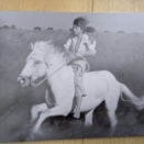 「赤い風船」と「白い馬」