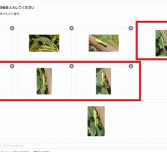 【写真AC】投稿写真の向きがおかしくなった場合の修正方法丨Photo AC