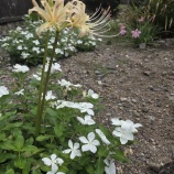 『怒りとの向き合い方』の画像