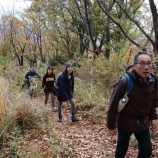 『秦野市弘法山』の画像