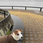 アボちゃんのアボカドブログ