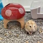 小動物専門店NATURE'S