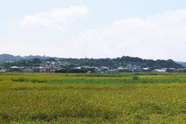 鉄道情景草案 壁紙