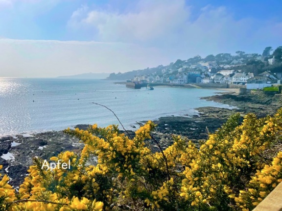 魅力的な海辺の村 セント モーズ in コーンウォール 🇬🇧