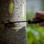 政藝一如の大井川めんぱ大井屋＠店主前田佳則