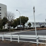 かわうそ、だもんで。