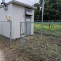 伐採除草作業　国立産業技術総合研究所様