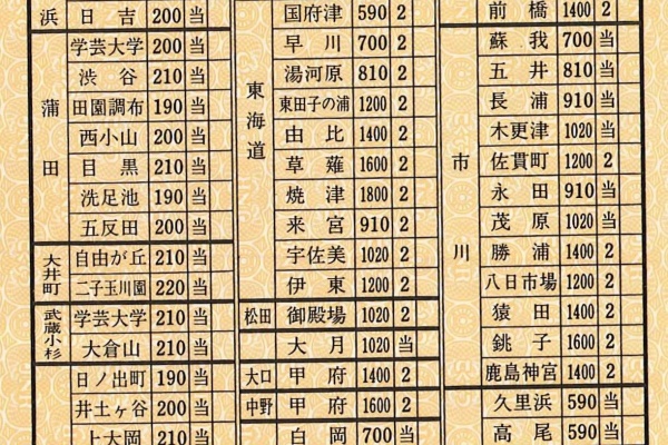 Z20 硬券 切符 まとめ売り ロマンスカー 国鉄 山手線 大井川鉄道