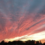 痛みとしびれの整体治療院　ソフィア整骨院　ぶんと院長の日記 東高円寺　腰痛　ひざ痛　坐骨神経痛　ランニング障害