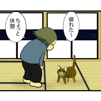 【猫との暮らし】すかさず甘える猫