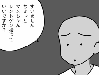 猫の余命宣告②自分にふりかかる異変はスルー