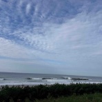 EVIN SURF