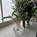 シンプルに憧れて