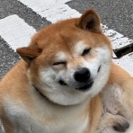 ひとりたのしむうた