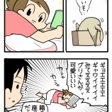 可愛さ判定。わかる!?