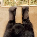 こうして今日も…。