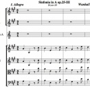 ヴァンハル：交響曲イ長調 Bryan A8　(ca.1760)
