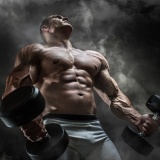 半年で筋肉量6kg増やしたけど質問ある？