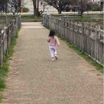 まったり覚書。with オカメインコ