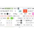 【ＲＤビューワ】菊花賞の想定版　