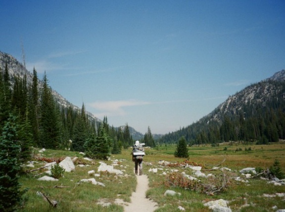 さすがにULは廃れた感あんな