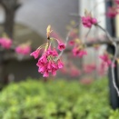 バレーボールから転向したモッパー男子現る♪