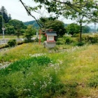 『宇賀神湧水弁財天女（鹿沼市）を詣でる』の画像