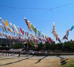 第34回こいのぼりフェスタ1000　こいのぼりは4月26日（日）～5月5日（火）イベントは29日　2026年　参考に昨年までのようすも