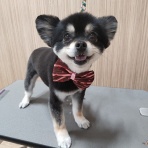 ペットショップワンラブ フレスポ御所野店のスタッフブログ