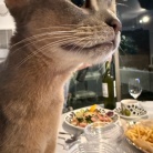 ポパイスパゲティーとスタミナサラダの夜ごはん