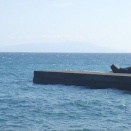 今日の白田堤防