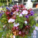 ご近所散歩は9年目　SEASON 9-140