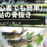 ¡Ø¡Ú¥Þ¥Ê¡¼Æ°²è¡Û¡Ú½é¿´¼Ô¤Ç¤â´Êñ¡Û°¾¤Î¹üÈ´¤¤Î¤ä¤êÊý¡Ãï¤Ç¤â¥¥ì¥¤¤ËÈ´¤±¤ë¥³¥Ä¤ò²òÀ⡪¡¡¡Ù¤Î²èÁü