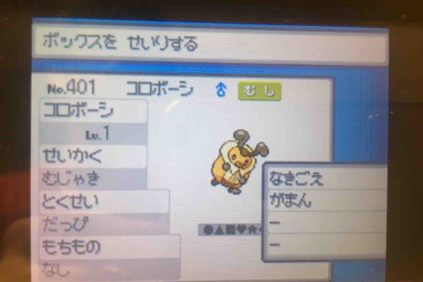 木曜会員マストのブログ Hgss Dpt