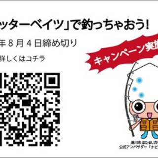 フラッター日誌
