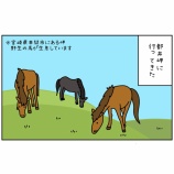 『都井岬に行ってきた』の画像