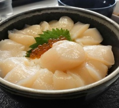猿払村で絶品ホタテ丼！さるふつまるごと館で極上の生ホタテを喰らう