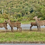 Team_SAVASのブログ