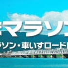 『【体重100kg】とくしまマラソン2023 備忘録 半年間の準備編』の画像